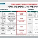 숲속교 앞 네이버블로그