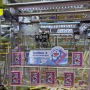 캑티 가챠샵 구월점 이미지