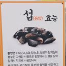 섭