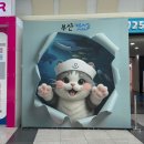 사두들쉼터 | 2025 부산 캣쇼 사전등록 부스배치도 이벤트 캣쇼백 첫날 방문 후기