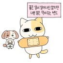 GS25전대중흥점 | 🇰🇷 광주 여행 | 깡빈아 늑대의 유혹 남주 이름 생각났어 근데 지금 또 까먹음