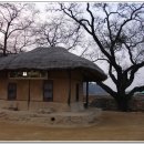 단골주막 이미지