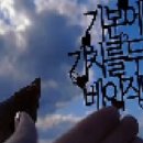 인셀덤다온 이미지