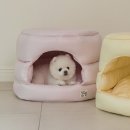 강아지집 | 포글 댕굴하우스 강아지집, 진짜 사용 후기!