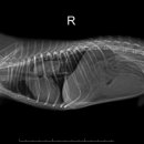 스마일동물의료센터 이미지