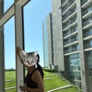 제주메이리조트 이미지