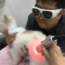 민트동물병원 이미지