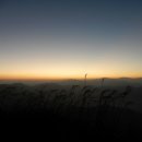 증산초교 이미지