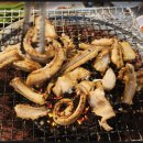 멍텅구리꼼장어 이미지