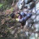 은현고추 이미지