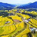 아침들녘 이미지