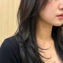 [광교미용실] 위스퍼그로브 수안쌤 추천, 무겁고 답답한 긴머리를 위한 '하이레이어드컷' 후기