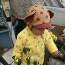 김재훈농장 이미지