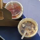 왕십리 카페 디저트 맛집 한양대 만남의장소 어질인 포장 후기