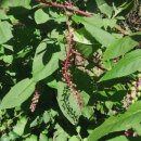 범어공원 이미지