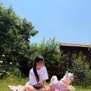 [제품후기]강아지 여름 산책 아이템 뮤니쿤트 쿨스카프 후기