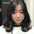 머리사랑헤어 이미지