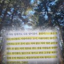 최진영 | 구의 증명 책 | 최진영 책 후기 | 내 몸뚱이를 깎아 채우는 밥벌이의 무게 추천 리뷰 핵심 요약