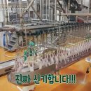 원가통닭 티스토리