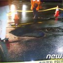 배다리지하상가 이미지