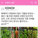 송운마을건영2차 이미지