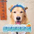 춘식이와옥희