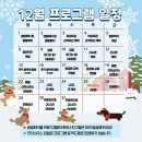 해뜨는댕 | 옥정 애견유치원 해뜨는댕 강아지 호텔