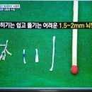 징코바이오 이미지