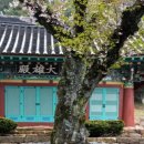 서동사(제37호) | 해남《海南》 최치원 창건 천년고찰 서동사 Haenam. Seodongsa Temple.