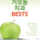 도일아나파치과의원 네이버블로그