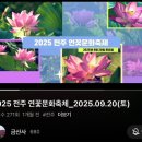 다주여행사