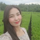 안덕면행정복지센터 이미지
