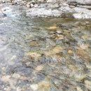 보개산민박 이미지