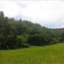 포항시북구38 이미지