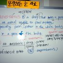 3월 21일 문장보는 눈 자료 (anesthetics) 이미지