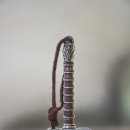 고대범농장 | 오늘날에도 여전히 울려 퍼지는 6개의 고대 북유럽 신화