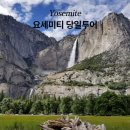 요세미티 당일투어 비교 후 욜로투어 예약 내돈내산 찐 후기