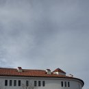 킹노래장 - 3680 | [제주/여행] 제주 에코랜드호텔(내돈내산/야외온수풀/뷔페)
