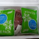 가야촌주
