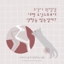 24시배곧스마트동물의료센터 이미지