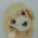 세밀색연필화 이미지