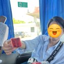 더소풍Ⅱ | 몽골 패키지 여행 1일차 후기 (2025.07.21) ✈️