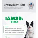 시저독 | [쿠마이야기_Kuma] 아이엠즈 독 건사료 후기(1살 이하 강아지 사료 추천 feat.기호성 대박)