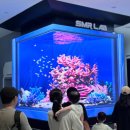 3532 | 울진 실내 아이랑 가볼만한곳 국립해양과학관 무료관람 후기 (바닷속 전망대, 야외놀이터까지 알차게!)