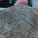 숲속의 섬 이미지