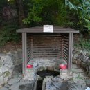 궁동생태공원 이미지