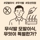 모션의원 이미지