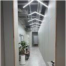 시너지 피트니스 이미지