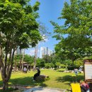 주정차116 | [용인] 아이랑 주말 나들이 『만골근린공원』