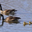 하이파크로 이미지